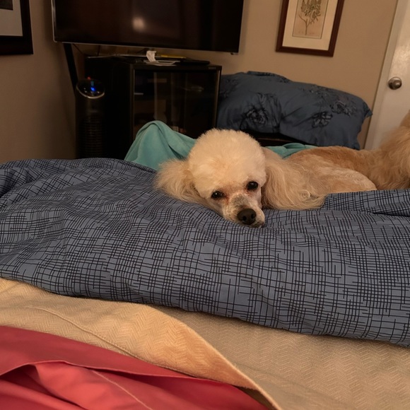 Meet your Posher, Laura - Picture 11 of 12